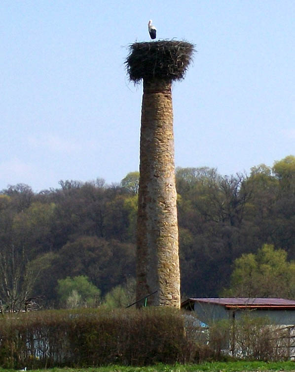 1. Kolumna Bociana. 2